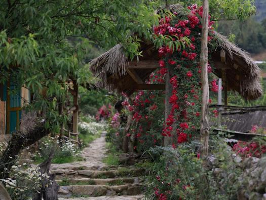 H'Mong Co Tran Sapa Homestay Buitenkant foto