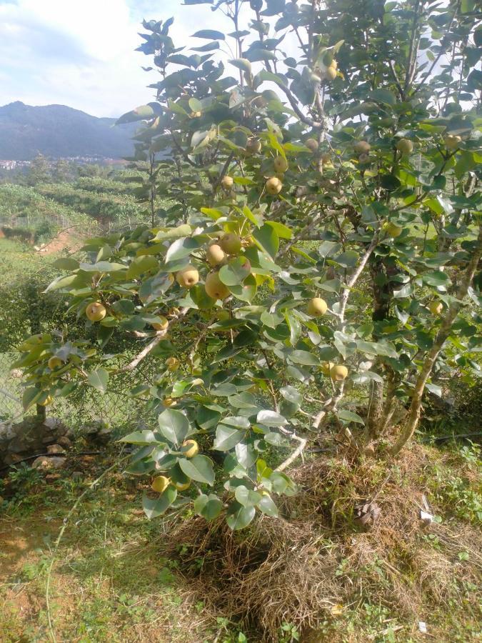 H'Mong Co Tran Sapa Homestay Buitenkant foto