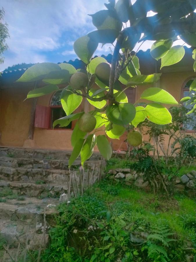 H'Mong Co Tran Sapa Homestay Buitenkant foto