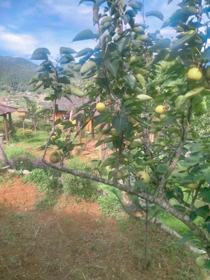 H'Mong Co Tran Sapa Homestay Buitenkant foto