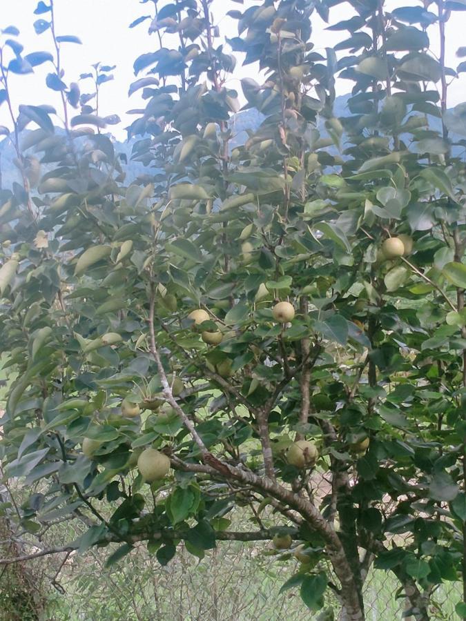 H'Mong Co Tran Sapa Homestay Buitenkant foto
