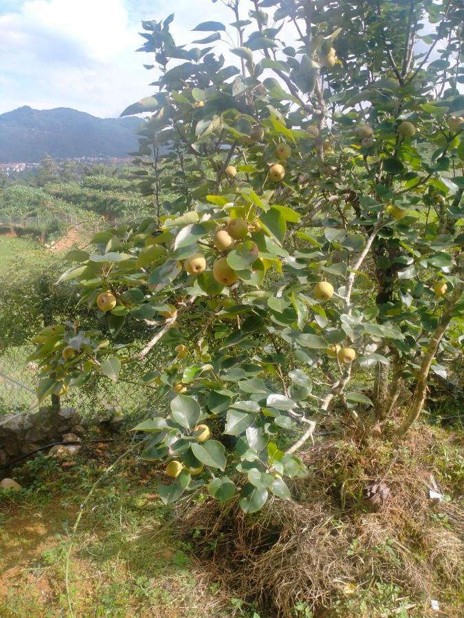 H'Mong Co Tran Sapa Homestay Buitenkant foto